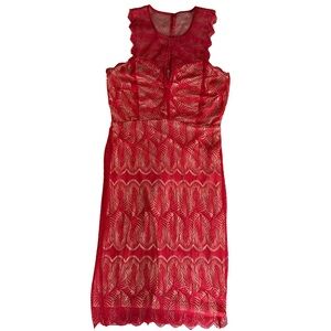 Vintage Bebe Lace Dress